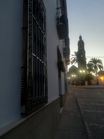 c. San Pedro y torre (2)